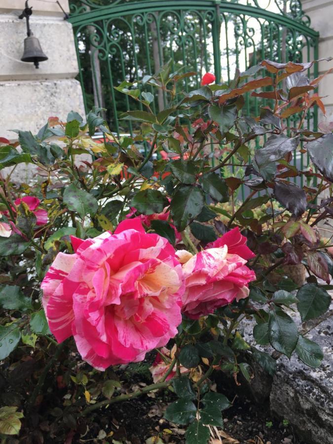 La Valiniere Bed & Breakfast Seur Ngoại thất bức ảnh